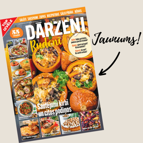 Dārzeņi rudenī!