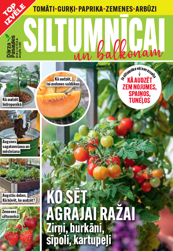 Siltumnīcai un balkonam, dārzs, Dārza Pasaule, labi padomi